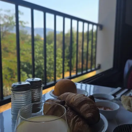 Hotel Restaurant Mas Le Chatelet 3*
